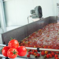 Tomato processing paste compote machine production line Industrial