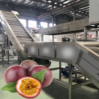 GOFUN concentrated fruit juice  passion processing production line